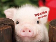 -1点点(中山门大街店)