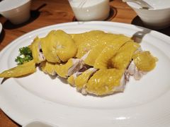 双味白斩鸡-金枝玉叶上海人家食府(三里河店)