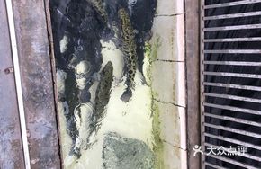 Danjiang Fish