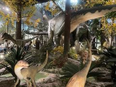 -湖南省地质博物馆