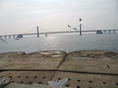 -星海广场