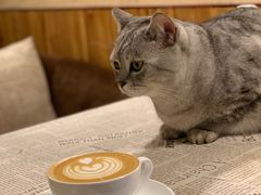 -隅cafe(傅厚岗店)