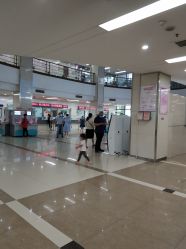 -上海市嘉定区妇幼保健院