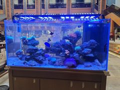 -舜耕山庄四时万和自助餐厅