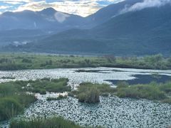-腾冲北海湿地