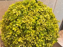 -通程奥特莱斯(华晨店)