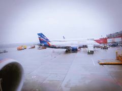 -谢列梅捷沃国际机场