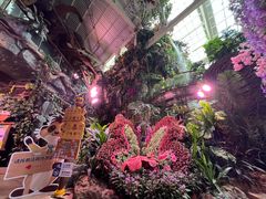 -正佳雨林生态植物园