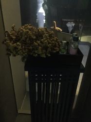 -奈瑞儿美养院