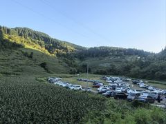 -武陵山森林公园