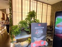 -桃夭日式料理(国信店)