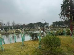 -丝绸小镇荻港古村