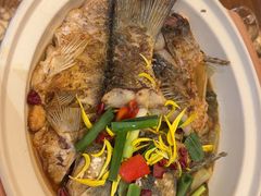 -龙悦湾酒家·八阵鱼生·渔人码头店