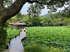 -兰亭风景区