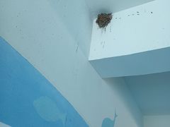 -海合安青岛极地海洋公园