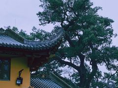 -南华禅寺