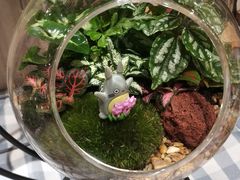 -AEON永旺(东方宝泰店)