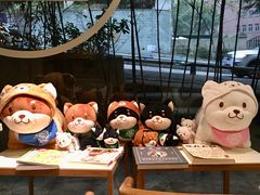 -柴务处·柴犬主题狗咖