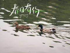 -颐和园