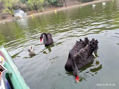 -西安秦岭野生动物园