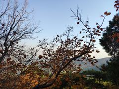 -付小姐在成都(五道口店)