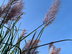 -福州大学(旗山校区)