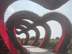 -长春北湖公园