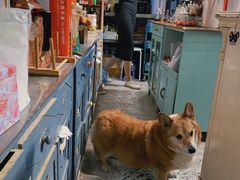 -小时光咖啡馆(北锣鼓巷店)