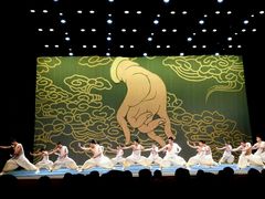 -国学剧院(功夫诗·九卷)