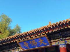 -张掖大佛寺景区