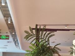 -老板恋上鱼(恒隆广场店)