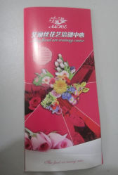 单页-艾丽丝发艺工作室