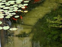 -中山公园