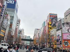 -秋叶原电器街