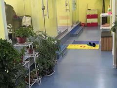 -瑞鹏宠物医院·爱宠堂·骨外专科(西荷分院)