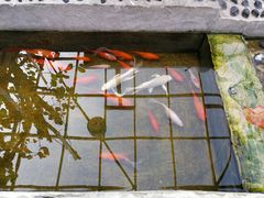 -丽江庭院之爱在路上(西单店)