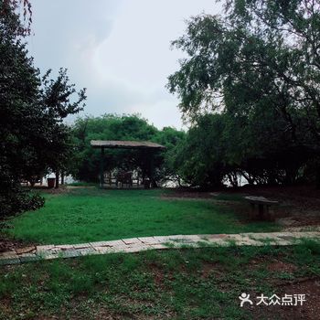 提前预约好,进场就开始找蓬蓬“安营扎寨