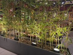 -郭铁柱·泥炉老火锅(江北龙湖天街店)
