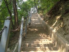 -陕西省红河谷森林公园