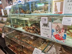 -超级物种·波龙工坊(国贸店)