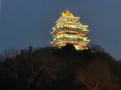 -七欣天香辣蟹火锅(南京建宁路大观天地店)