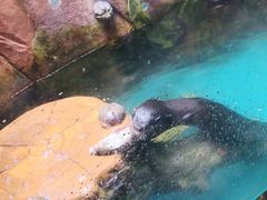 -杭州野生动物世界