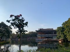 -荔湾湖公园