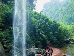 -沐川竹海旅游景区