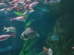 -大连圣亚海洋世界