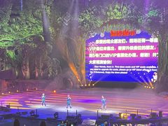 -广州长隆国际大马戏