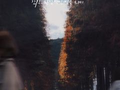 -小芝红树林