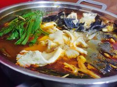 酸汤鱼-弘烨 贵州酸汤 鱼火锅(东财店)