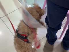 -纳吉亚猫专科动物医院博雅分院