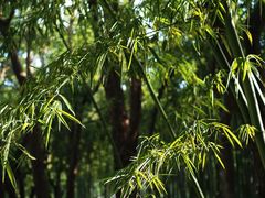 -苏州河梦清园环保主题公园